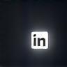 LinkedIn icon